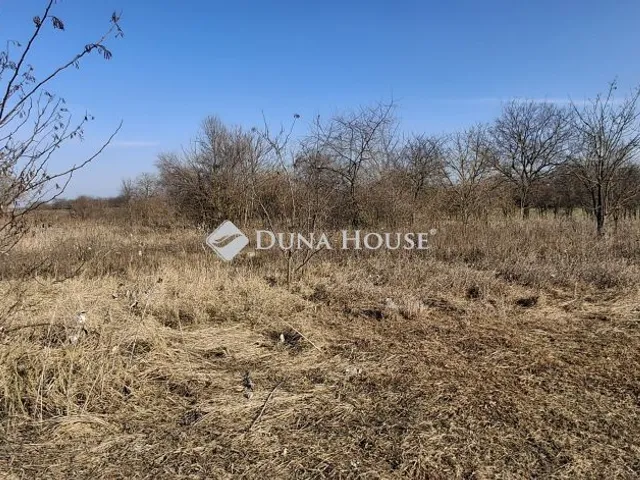 Eladó telek Alsónémedi 2297 nm