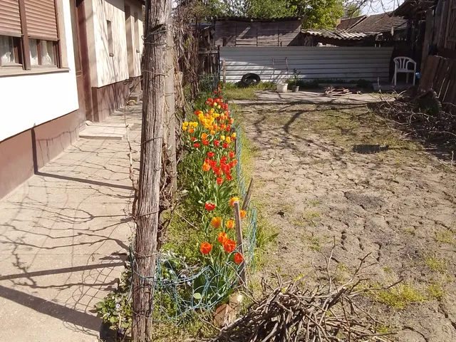 Eladó ház Tiszaalpár 105 nm