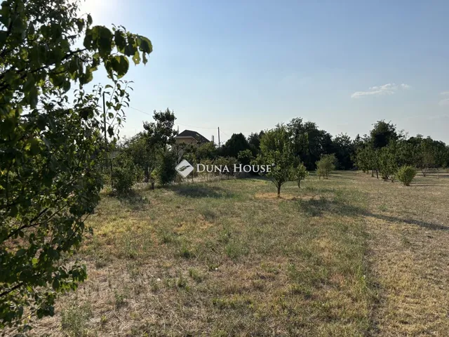 Eladó telek Taksony 906 nm