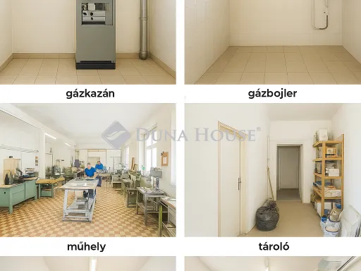 Eladó ház Szigetújfalu 291 nm