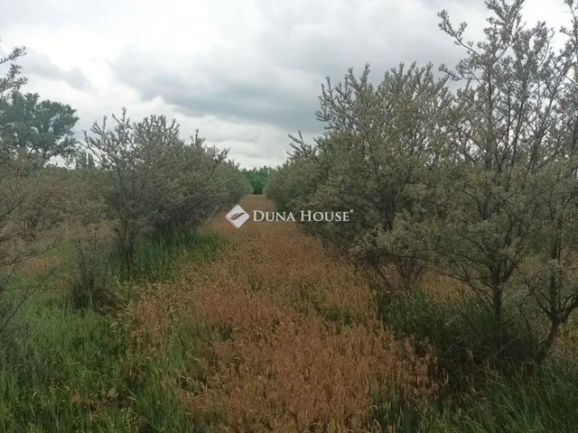 Eladó mezőgazdasági ingatlan Hernád 21278 nm