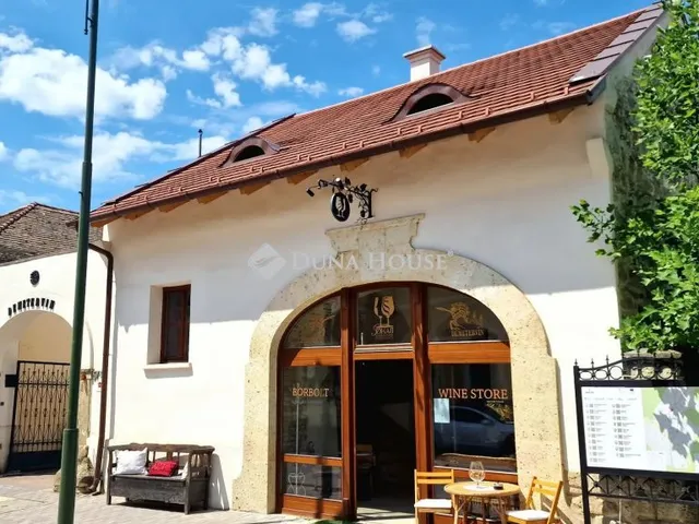 Eladó kereskedelmi és ipari ingatlan Mád, Rákóczi utca 500 nm