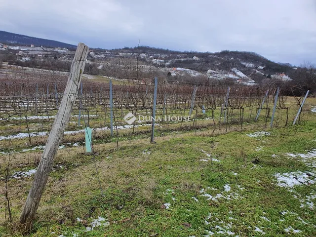 Eladó telek Vászoly, Külterület 47458 nm