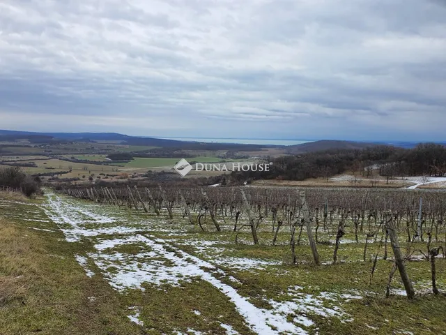 Eladó telek Pécsely, Külterület 41657 nm