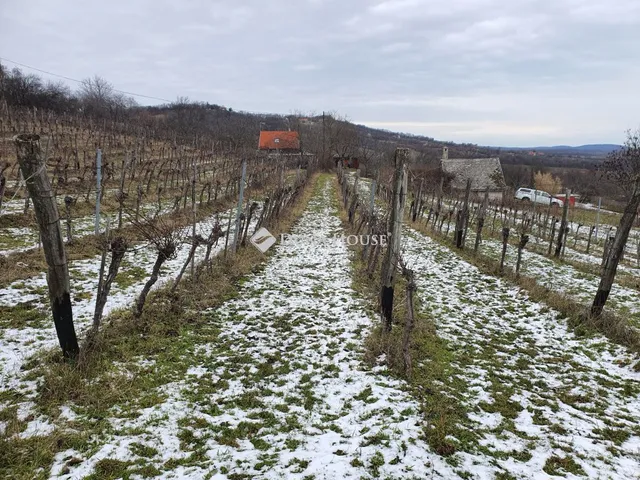 Eladó telek Pécsely, Külterület 21191 nm