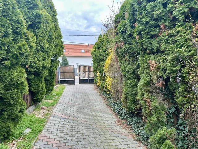 Kiadó kereskedelmi és ipari ingatlan Szentendre 129 nm