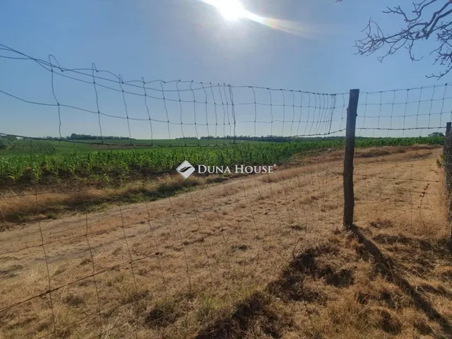 Eladó telek Pusztazámor 8892 nm