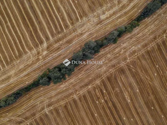Eladó telek Madaras 21500 nm