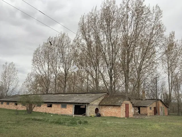 Kiadó mezőgazdasági ingatlan Bácsalmás 16777215 nm