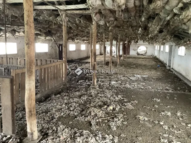 Kiadó mezőgazdasági ingatlan Bácsalmás 16777215 nm