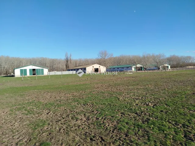 Eladó mezőgazdasági ingatlan Tatárszentgyörgy