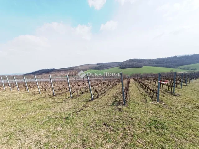Eladó mezőgazdasági ingatlan Alsónána 105000 nm