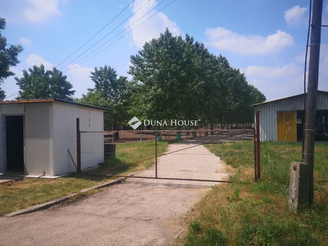 Eladó mezőgazdasági ingatlan Kecskemét 1490 nm