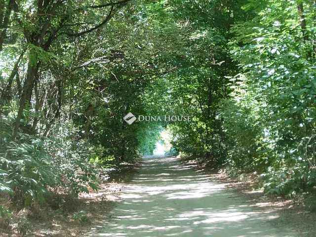 Eladó telek Kecskemét 6812 nm