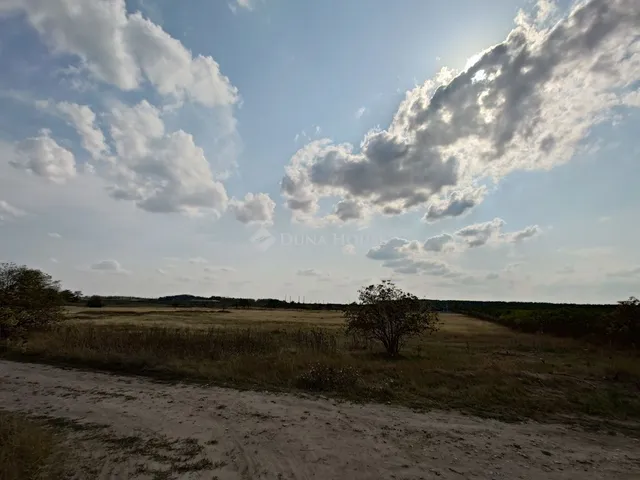 Eladó mezőgazdasági ingatlan Kecskemét 43 nm
