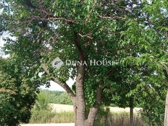 Eladó telek Kecskemét, Ballószög tanya 2893 nm