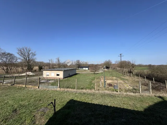 Eladó kereskedelmi és ipari ingatlan Cibakháza 180 nm