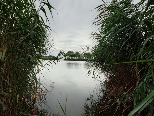 Eladó nyaraló Tiszaug 40 nm