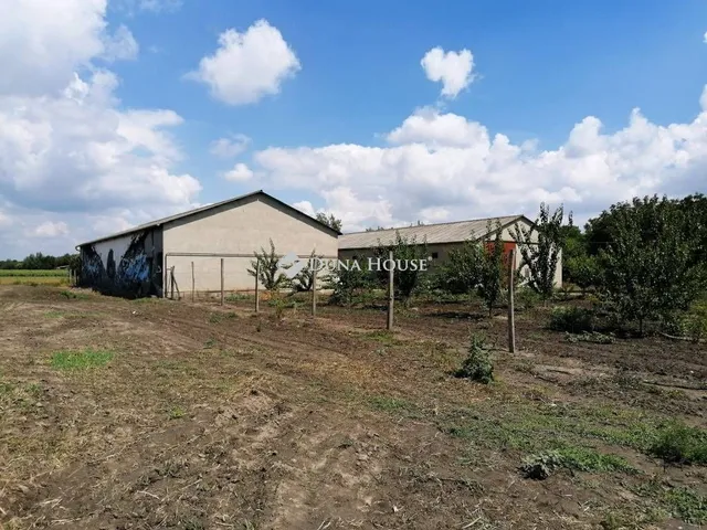Eladó telek Harta 20726 nm