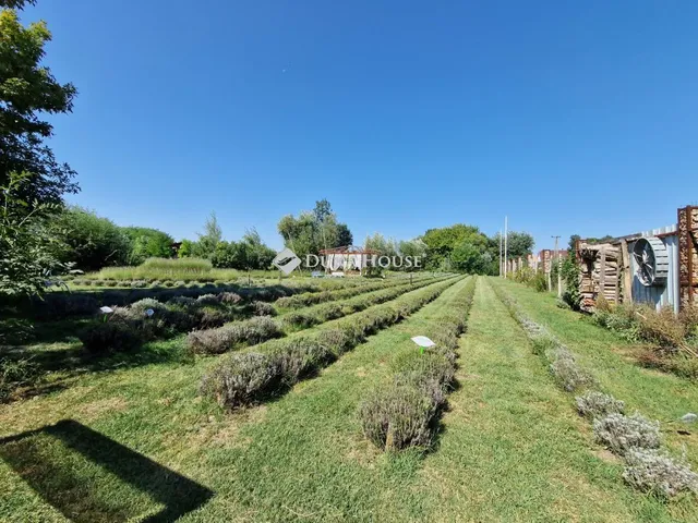 Eladó telek Kecel 8629 nm