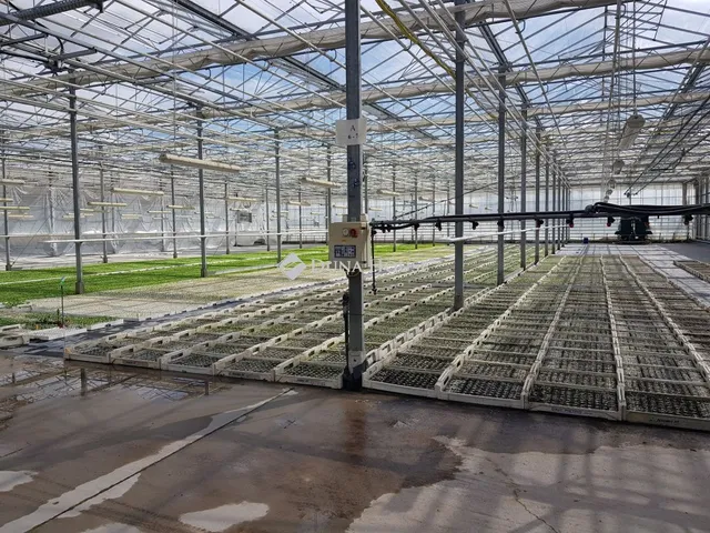 Eladó mezőgazdasági ingatlan Kecskemét 9856 nm
