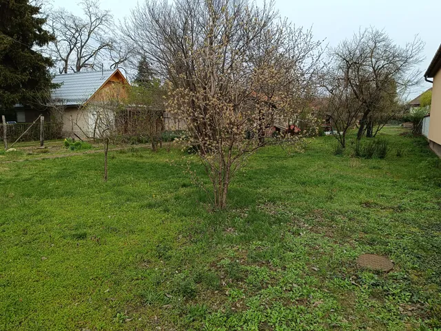 Eladó telek Kecskemét 1000 nm