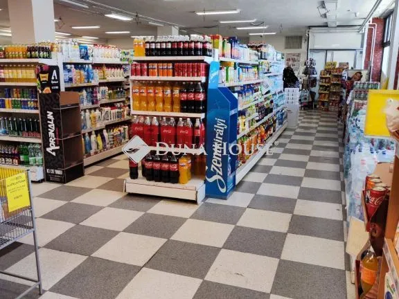 Kiadó kereskedelmi és ipari ingatlan Törökszentmiklós 682 nm