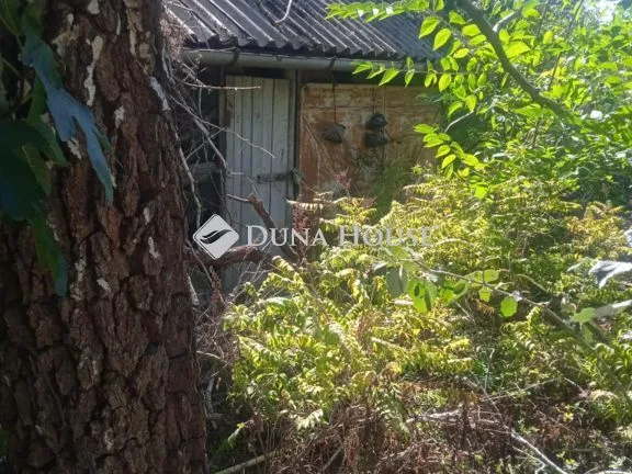 Eladó telek Kecskemét, Alsószéktó tanya 2000 nm