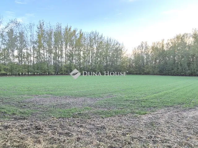 Eladó telek Kecskemét 78325 nm