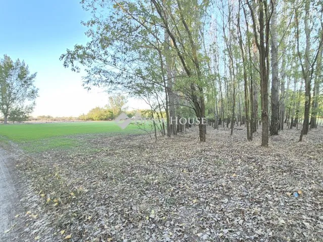 Eladó telek Kecskemét 78325 nm