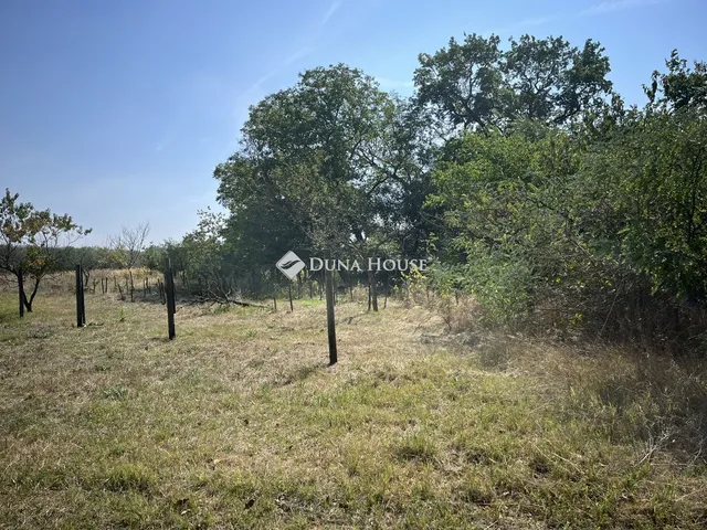 Eladó mezőgazdasági ingatlan Kecskemét 60 nm