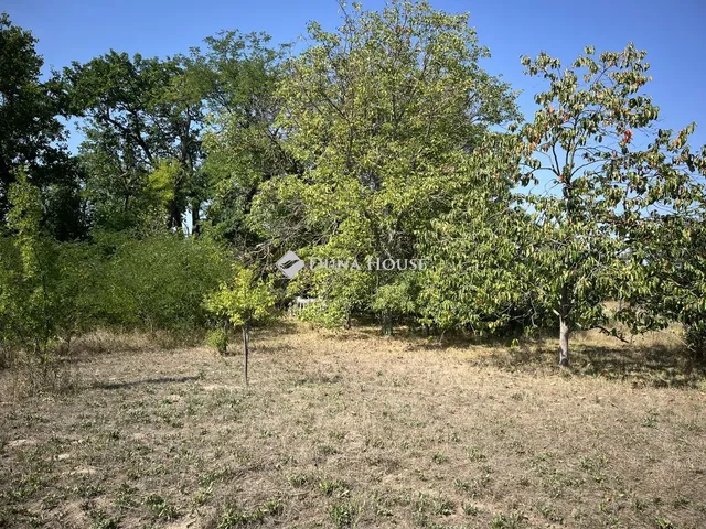 Eladó mezőgazdasági ingatlan Kecskemét 60 nm