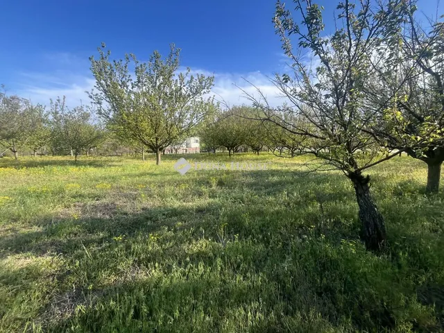 Eladó telek Helvécia 913 nm