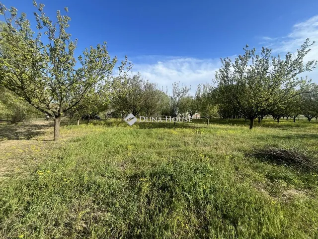 Eladó telek Helvécia, Nincs utca 913 nm