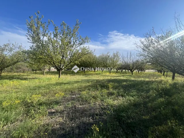 Eladó telek Helvécia, Nincs utca 913 nm