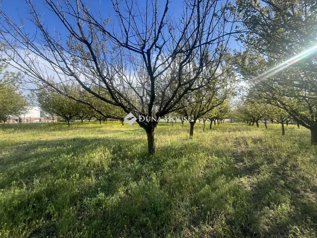 Eladó telek Helvécia 3892 nm