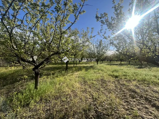 Eladó telek Helvécia, Nincs utca 3892 nm