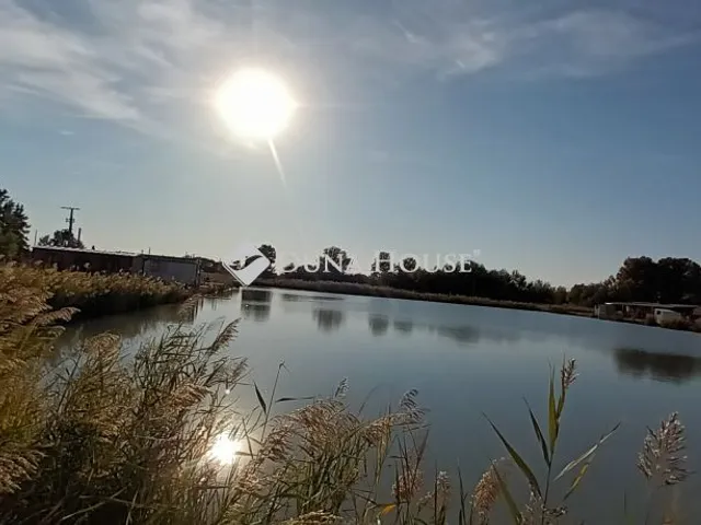 Eladó telek Akasztó, Eötvös utca 264 nm