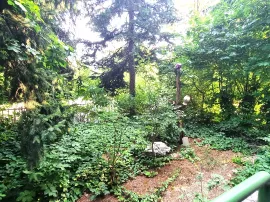 Eladó lakás Budapest II. kerület 56 nm