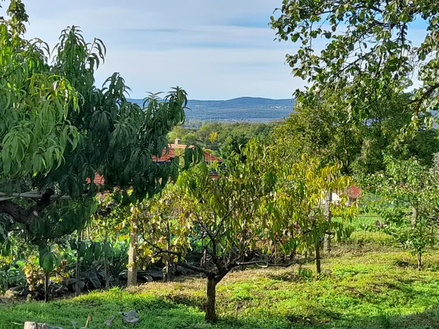 Eladó telek Keszü 3223 nm