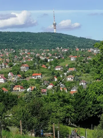 Eladó telek Pécs, Meredek dűlő 2584 nm