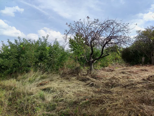 Eladó telek Bogád, Csankó-hegyi utca 2166 nm