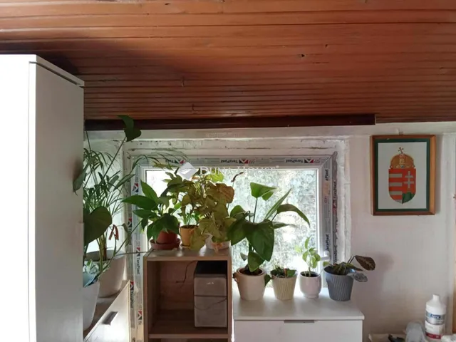 Eladó ház Pécs 22 nm