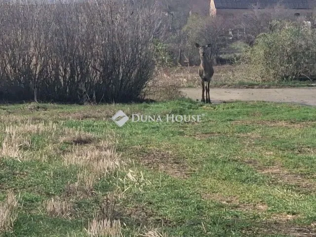 Eladó telek Velény 1842 nm