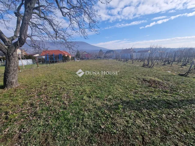 Eladó telek Kővágószőlős, Mókus utca 1508 nm