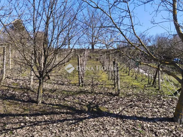 Eladó telek Pellérd 440 nm