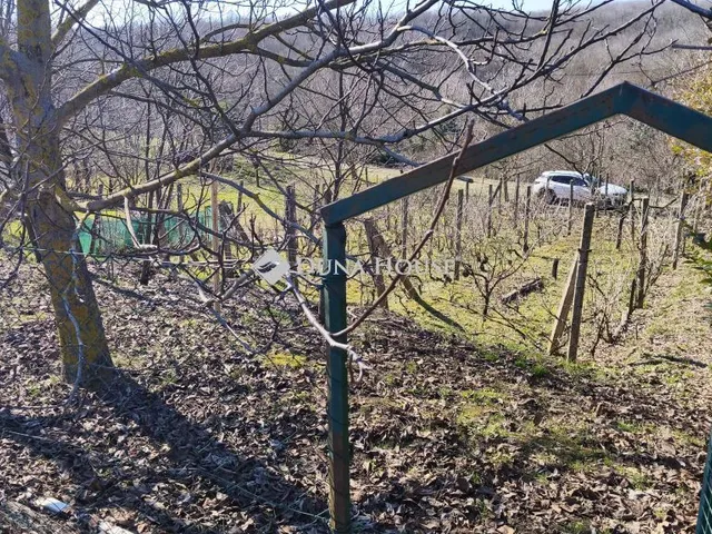 Eladó telek Pellérd 440 nm