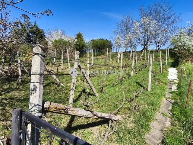 Eladó telek Pellérd 440 nm