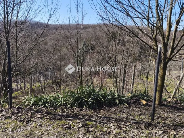 Eladó telek Pellérd 930 nm