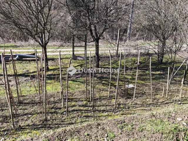 Eladó telek Pellérd 1370 nm